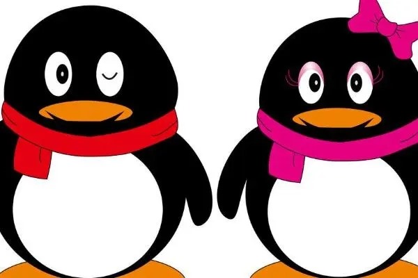 QQ申请的银行卡去银行激活要什么资料?